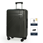 Medium Check-In Luggage