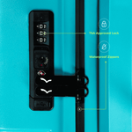 Medium Check-In Luggage