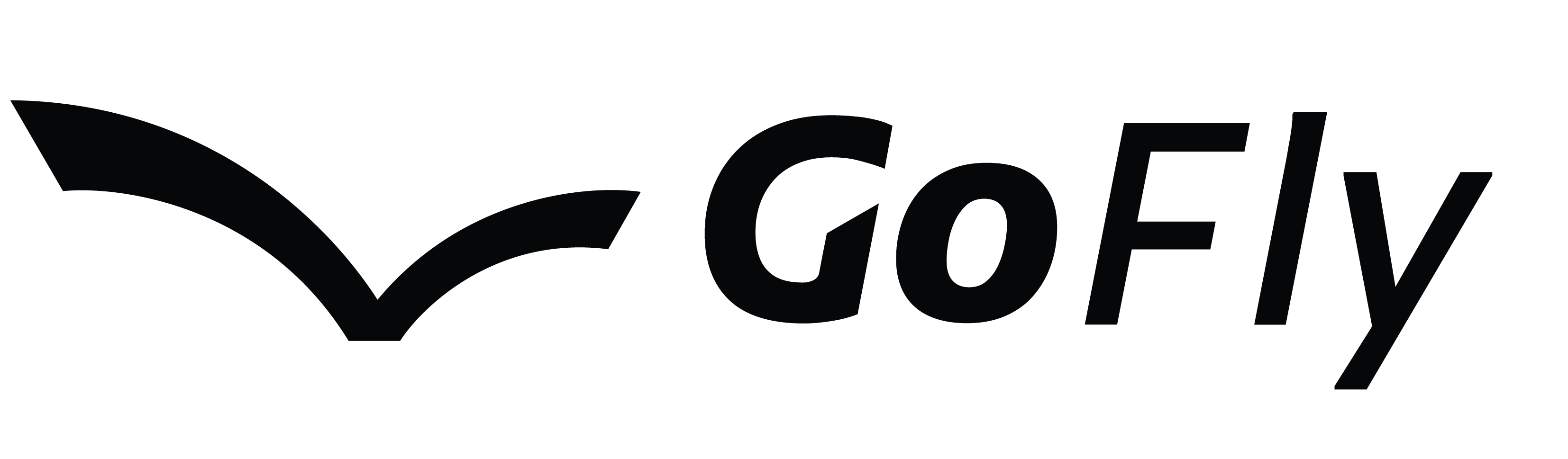 GoFly